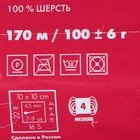 Пряжа "Деревенька" 100% шерсть 170м/100гр (5153 мулине) - Фото 3