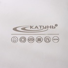 Котёл Катунь «Общепит», 30 л, d=35 см, h=35.5 см, капсульное дно, индукция, нержавеющая сталь - Фото 5