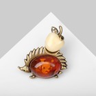 Брошь "Янтарь" ёжик с яблоком, цвет МИКС в бронзе - фото 8853608