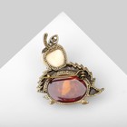 Брошь «Янтарь» ёжик с яблоком, цвет МИКС в бронзе - Фото 3