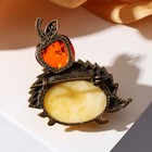 Брошь «Янтарь» ёжик с яблоком, цвет МИКС в бронзе - Фото 2