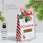 Коробка подарочная новогодняя складная «Посылка», 15 х 7 х 22 см, Новый год - фото 2974280