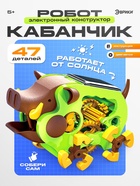 Электронный конструктор «Робот кабанчик», работает от солнечной батареи, 47 деталей - Фото 1