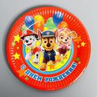 Тарелка одноразовая бумажная «С Днем Рождения!», 18 см, Щенячий патруль - Фото 3