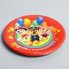 Тарелка одноразовая бумажная «С Днем Рождения!», 18 см, Щенячий патруль - Фото 2
