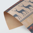 Бумага упаковочная крафтовая «Скандинавия», 50 × 70 см - Фото 1