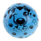 Мяч детский Песик, d=22см 60 гр микс - Фото 2