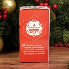 Набор для творчества. Новогодняя игрушка пайетками «Мишка» 14 х 6 х 6 см + 3 цвета пайеток, меховые палочки - Фото 6