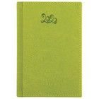 Ежедневник датированный 2020 год, А6, BRAUBERG, Rainbow, 168 листов, гладкая кожа, зелёный - Фото 2