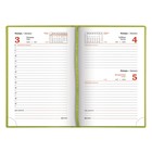 Ежедневник датированный 2020 год, А6, BRAUBERG, Rainbow, 168 листов, гладкая кожа, зелёный - Фото 3