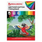 Картон цветной А4 мелованный, 12 листов, 12 цветов, в папке, BRAUBERG, 200 х 290 мм, «Килиманджаро» - Фото 1