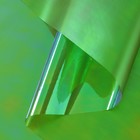 Плёнка иридисцентная «Хамелеон», зелёный, 0,6 х 10 м - Фото 2