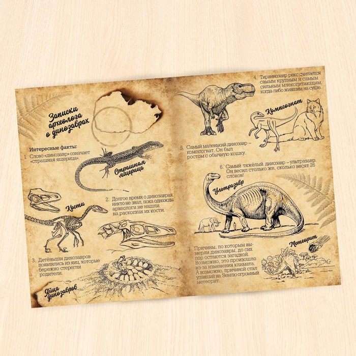 Обучающий набор «Эра динозавров», животные и плакат, по методике Монтессори, для детей - фото 1905574404