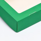 Контейнер на вынос, зелёный, 20 х 12 х 4 см - Фото 3