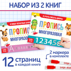 Прописи многоразовые «Напиши и сотри. Пишем буквы и цифры», набор 2 шт. по 12 стр., 2 маркера - Фото 1