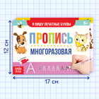 Прописи многоразовые «Напиши и сотри. Пишем буквы и цифры», набор 2 шт. по 12 стр., 2 маркера - Фото 2