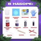 Ёлочный шар своими руками «Застывающие фигурки из эпоксидной смолы», набор для опытов - Фото 2