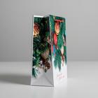 Пакет подарочный ламинированный вертикальный «Волшебного Нового Года», MS 18  x 23 × 8 см - Фото 2