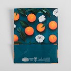 Пакет ламинированный вертикальный «Счастья в Новом Году», MS 18 × 23 × 8 см - Фото 5