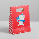 Пакет с клапаном «Почта счастья», 12 х16 х6 см. - Фото 2