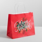 Пакет подарочный крафт Happy New Year, 25 х 22 х 12 см - Фото 1