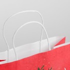 Пакет подарочный крафт Happy New Year, 25 х 22 х 12 см - Фото 3