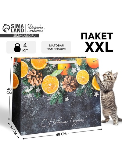 Пакет подарочный новогодний ламинированный «С Новым годом», XL 49×40×19 см