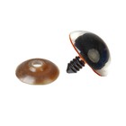 Глаза винтовые с заглушками, «Блёстки» набор 18 шт., размер 1 шт.: 2.4 см, коричневые - Фото 2