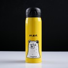 Термос "Angry bear", 500 мл, сохраняет тепло 8 ч, 22.5х6.5 см, микс - Фото 1