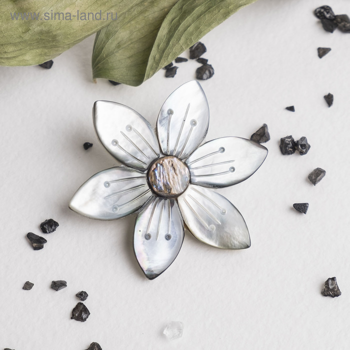 Брошь «Перламутр» цветок, цвет серый - Фото 1