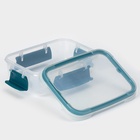 Контейнер пищевой герметичный Butterfly bright, 500 мл, пластик, прозрачный, крышка МИКС - Фото 3