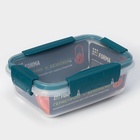 Контейнер пищевой герметичный Butterfly bright, 500 мл, пластик, прозрачный, крышка МИКС - Фото 5