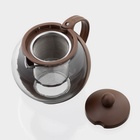 Чайник заварочный «Забота» матовый, 700 мл, с металлическим ситом, стекло, МИКС - Фото 4