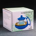 Чайник стеклянный заварочный «Фантазия», 750 мл, с металлическим ситом, цвет МИКС - фото 4535937