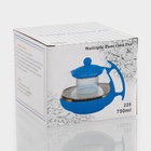 Заварочный чайник «Фантазия», 750 мл, с металлическим ситом, стекло, МИКС - Фото 5