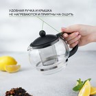 Заварочный чайник «Вдохновение», 850 мл, с металлическим ситом, стекло, чёрный - Фото 3