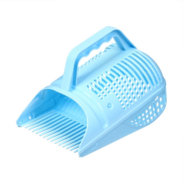 700.jpg?v=1684142706