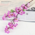 Цветы искусственные «Ветка яблони», 4.5?58 см, сиреневые (комплект 2 шт) - фото 68081348