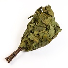 Веник для бани дубовый, в пакете - фото 32511138