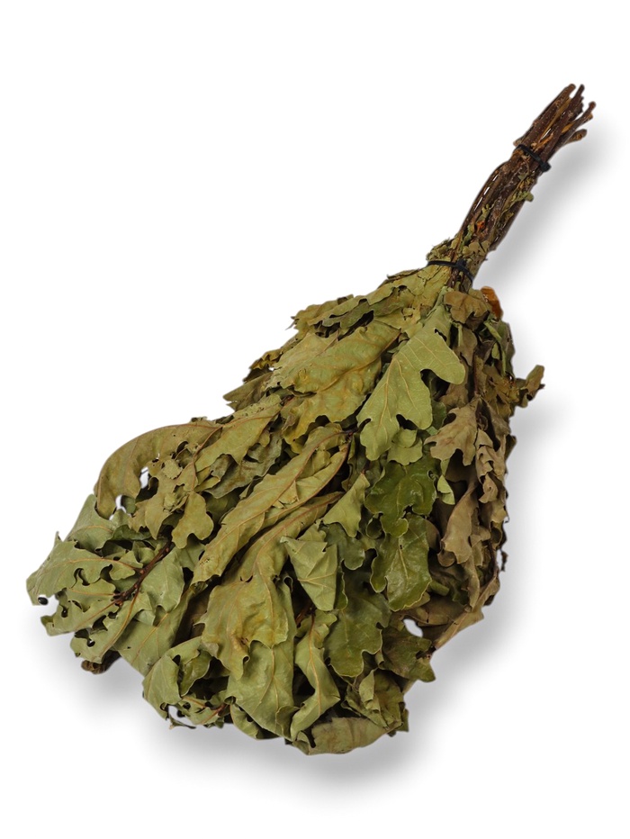 Веник для бани, дубовый, в пакете - Фото 1