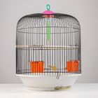 Клетка для птиц, 39×44 см, круглая, двухъярусная сварная, большой поддон, МИКС - Фото 2