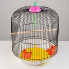Клетка для птиц, 39×44 см, круглая, двухъярусная сварная, большой поддон, МИКС - Фото 3