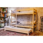 Двухъярусная кровать с выдвижным спальным местом 3 в 1, 800 × 2000 мм, 800 × 1900 мм, сосна - Фото 2