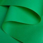 Бумага для декора и флористики, крафт, двусторонняя, травяная, зеленая, однотонная, рулон 1шт., 0,5 х 10 м - Фото 2