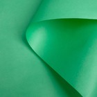 Бумага для декора и флористики, крафт, двусторонняя, салатовая, зеленая, однотонная, рулон 1шт., 0,5 х 10 м - Фото 2