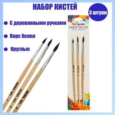 Набор кистей для рисования, белка, 3 штуки: № 1, 2, 3, круглые, деревянная ручка, международный размер
