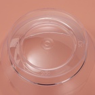 Креманка одноразовая для фуршета «Кристалл», 200 мл, пластик, прозрачная - Фото 9