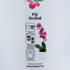 Кашпо для орхидей «Фиджи», 1,6 л, цвет белый перламутр - Фото 2