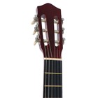 Классическая гитара Fante FT-C-B39-N цвет натуральный - фото 24995594