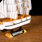 Корабль сувенирный малый «Пилигрим», микс, 3×13,5×15,5 см 5641 - Фото 4